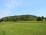 Yard/View